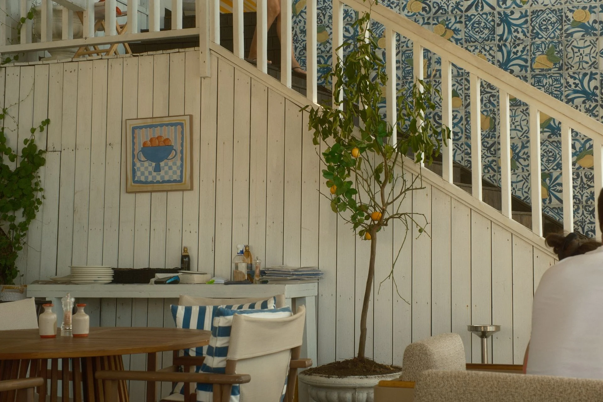 Potted lemon tree on a sunny Mediterranean terrace